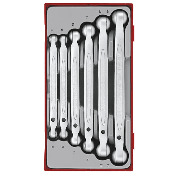 TENG 6PCE DBL FLEX-HEAD SPANNER SET 8-19MM - TC-TRAY