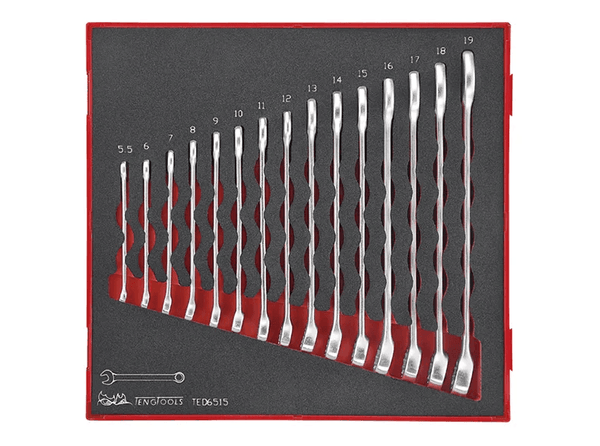 TENG 15PCE COMBINATION SPANNER SET 5.5-19MM - TED-TRAY
